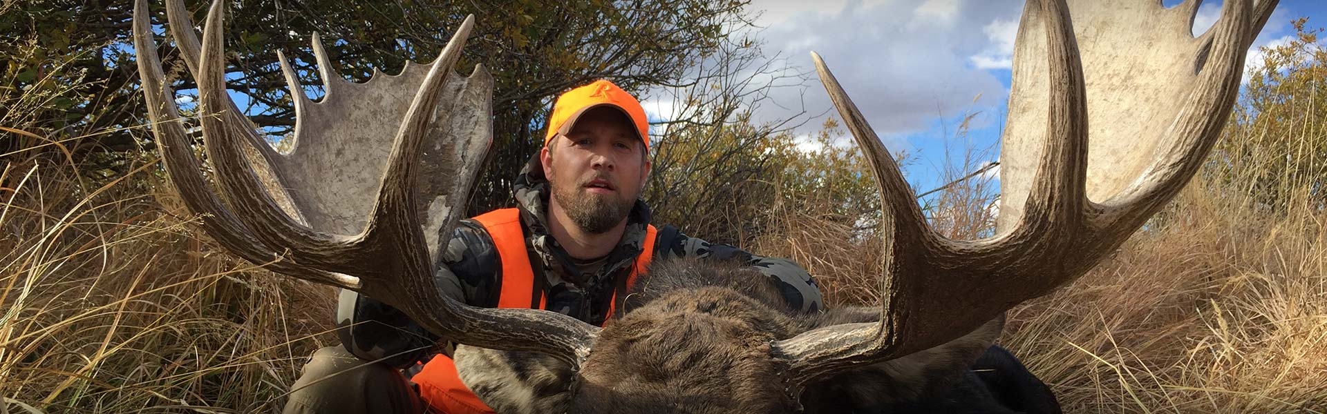 Colorado Shiras Moose Hunting Outfitters - Guided Hunts