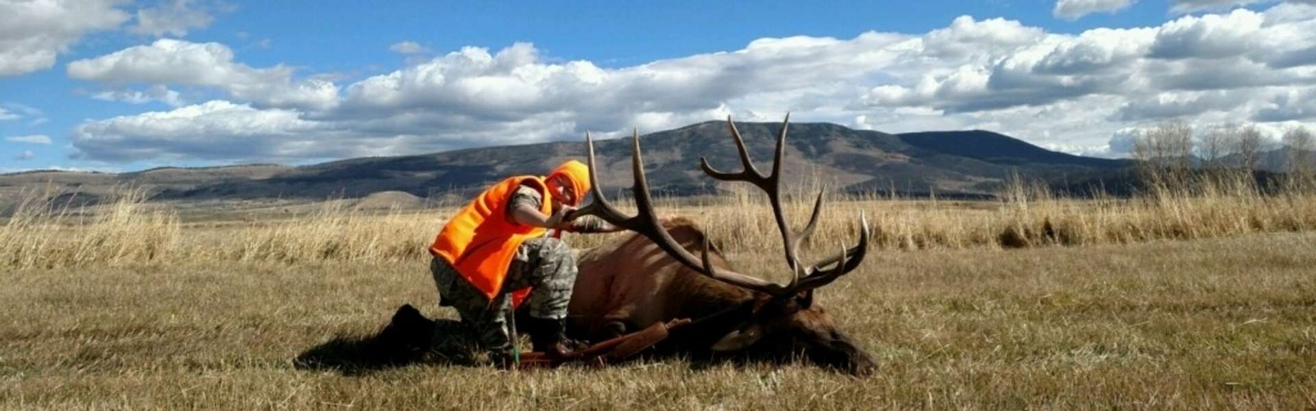 Muzzleloader Elk Hunts in Colorado - Guided Hunts