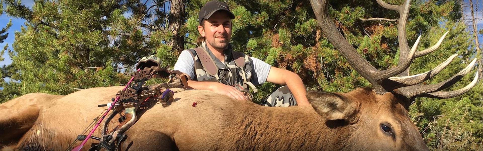 Archery Elk Hunts Colorado - Guided Hunts