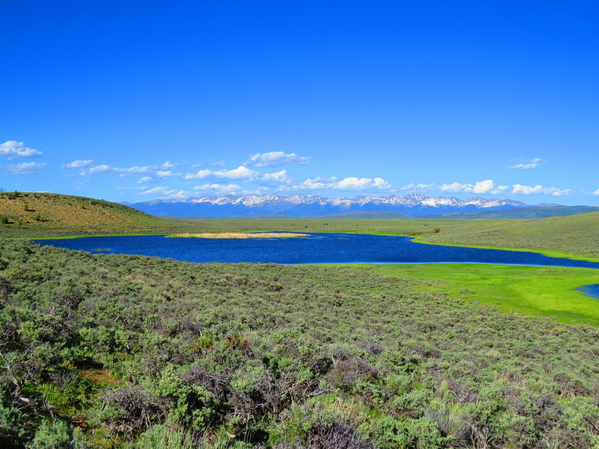 Colorado Hunting Oufitter