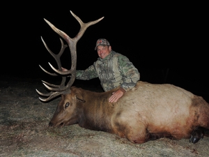 CO%20Trophy%20Elk.JPG