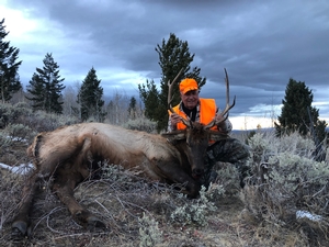 Elbert%20Lands%20Second%20Season%20Bull%20Elk.jpg