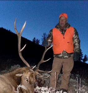 First%20%20Season%20-%20Bruce%20Woodmansee%20Bull%20Elk.JPG