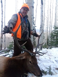 First%20Season%20-%20Al%20Martinez%20Bull%20Elk.JPG