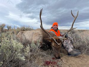 Kipp%20Pennau%20Third%20Season%20Bull%20Elk%20%282%29.jpg