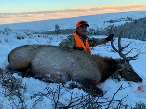 Ryan%20Prospect%20Second%20Season%20Bull%20Elk.jpg