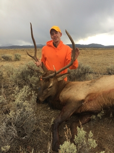 Second%20Season%20-%20Justin%20Robinson%20Bull%20Elk.JPG