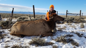 Third%20Season%20-%20Brenden%20Deywse%20Cow%20Elk.JPG