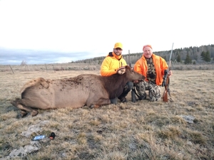 Tim%20Dakin%20Cow%20Elk.jpg