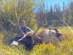 Tim%20Hensley%20Archery%20Bull.jpg