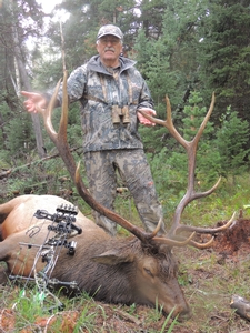 colorado-elk-hunting-bull-kent-sommer.jpg