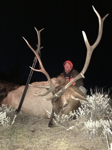 colorado-elk-hunting-trophy-bull.jpg