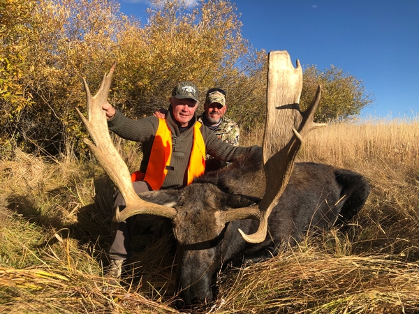 2019 Trophy Moose