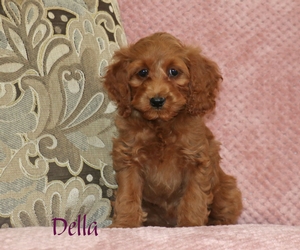 Della