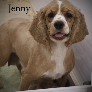 Jenny