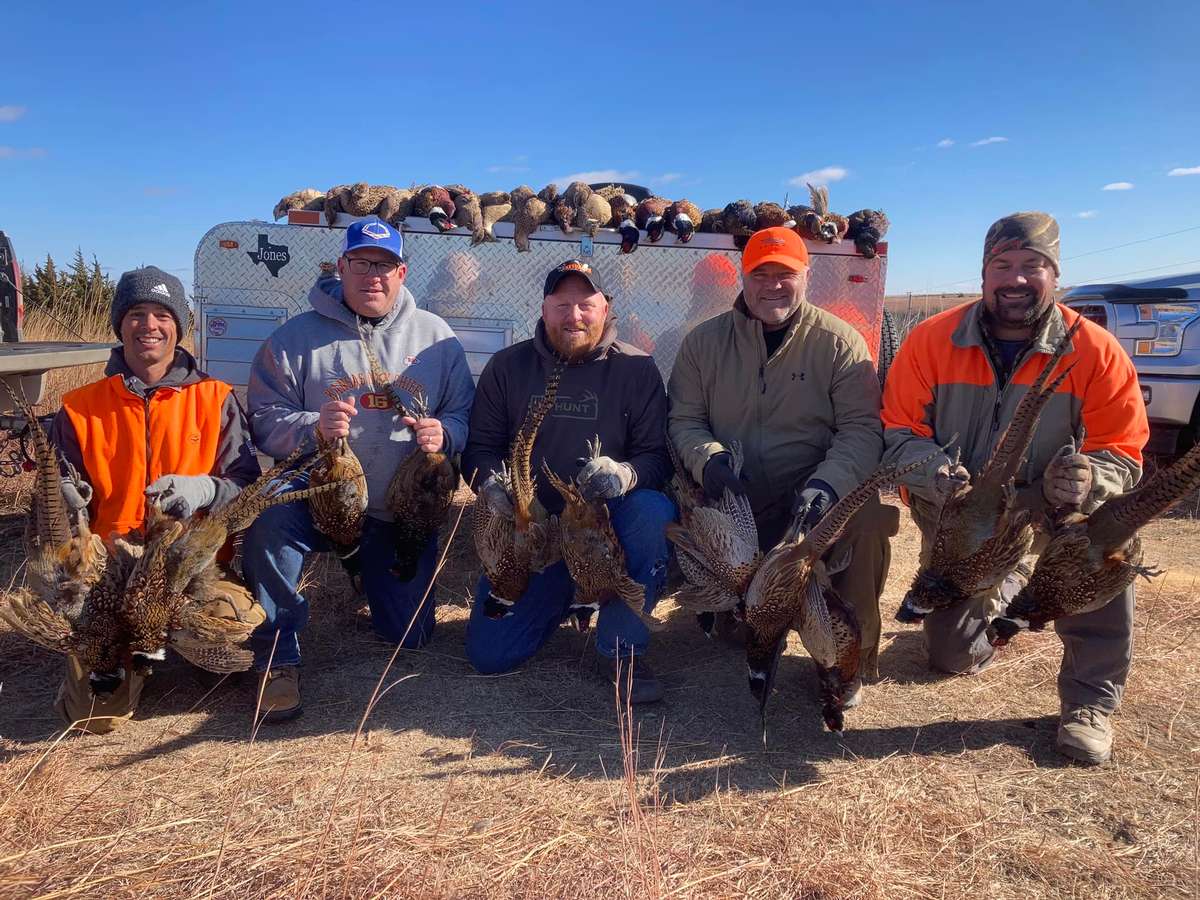 Kansas Pheasant Hunting