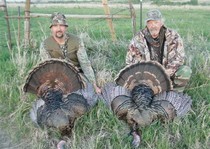 Turkey Hunting Trophy Room