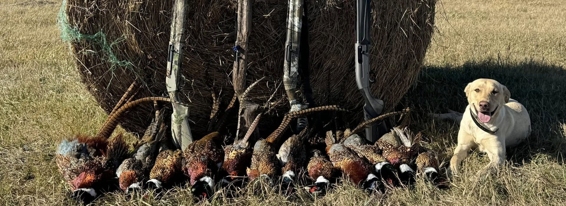 About Deadshot Outfitters About Deadshot Outfitters