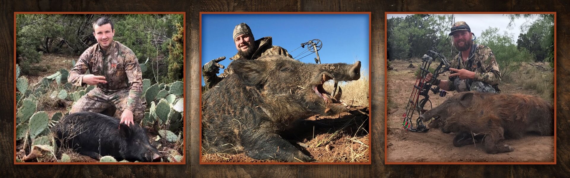 Archery Hog Hunts in Texas