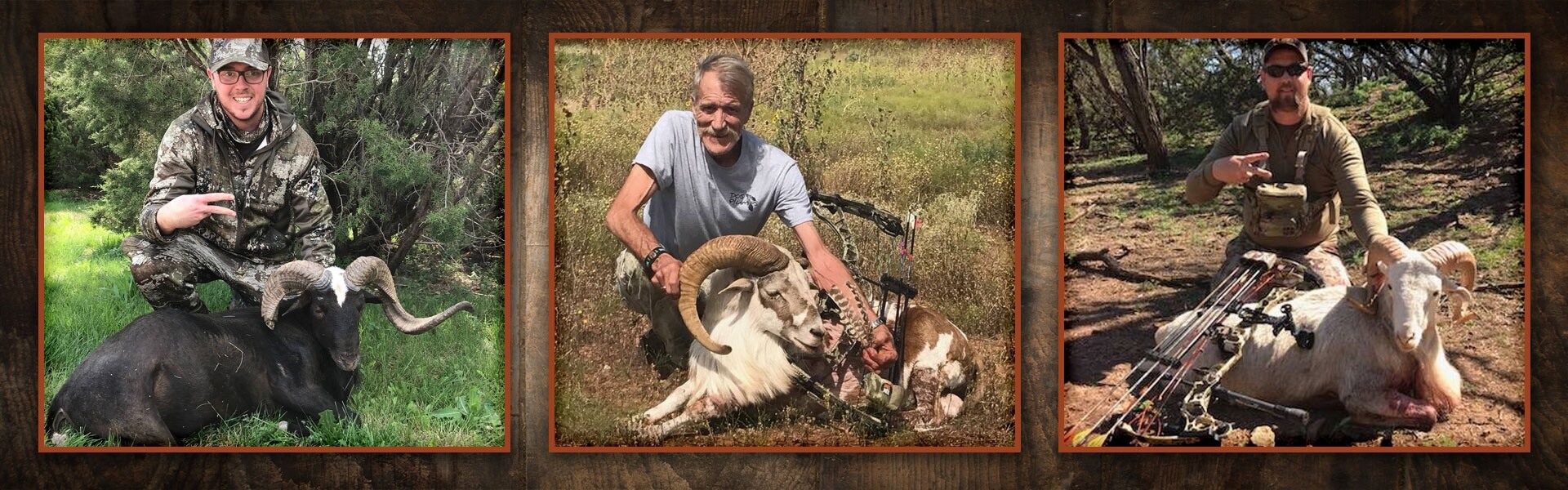 Ram & Hog Combo Hunts in Texas