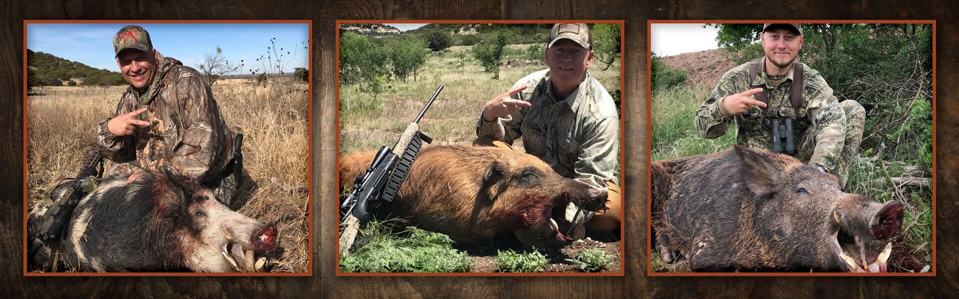 Rifle Hog Hunts in West Texas