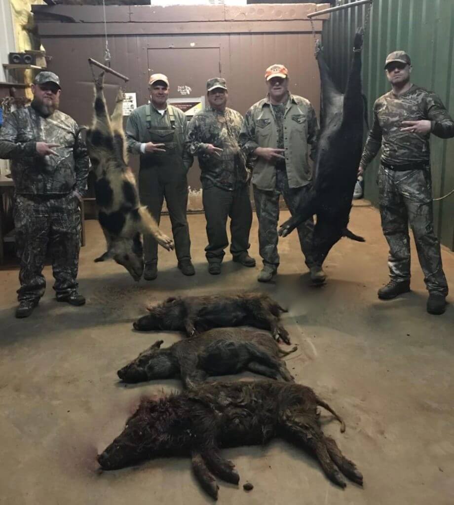 Best Hog Hunt in Texas