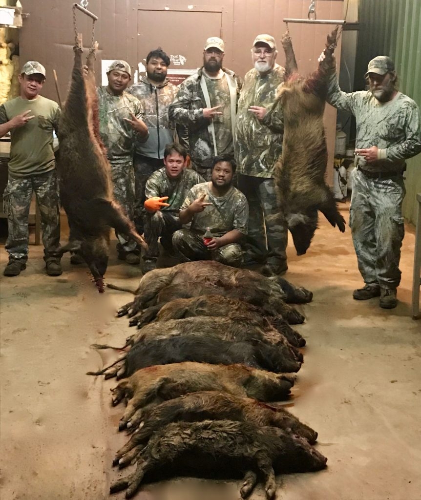 Hog Hunting at its Best