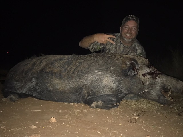 Trophy Texas Hogs