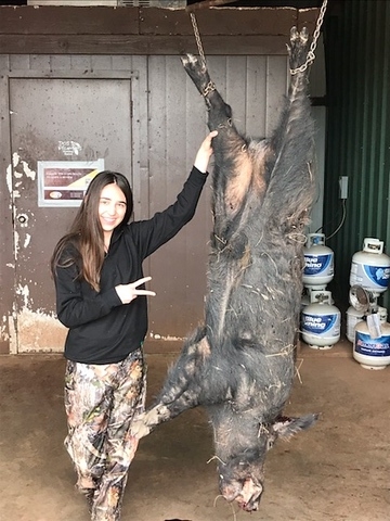 Texas Hog Hunting 2019