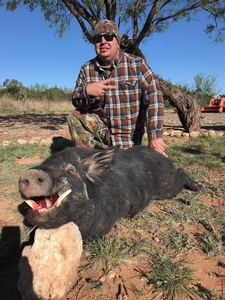 Big%20Hogs%20West%20Texas.jpg