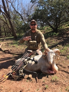 Ram%20Hunts%20Texas.jpg