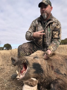 Trophy%20Texas%20Hog.jpg