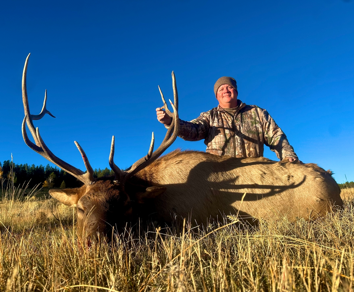 Unit 52 Elk Hunts