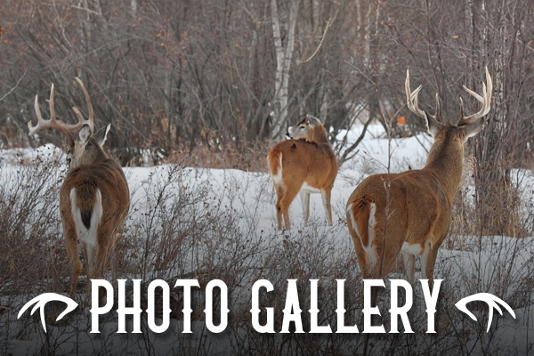 Photo Gallery