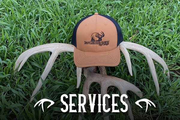 Services