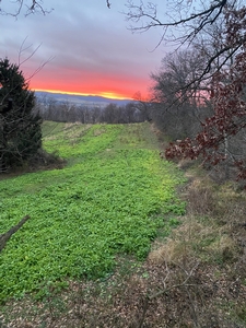 Crop to focus on the food plot and sunset.