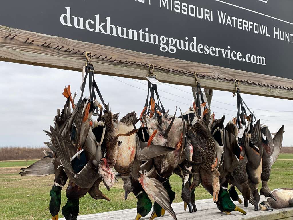 Waterfowl Hunts in Missouri and Tennessee