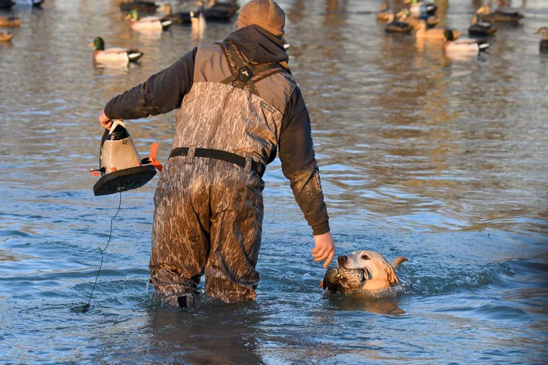 TN & MO Waterfowl Hunt