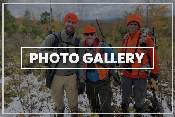Photo Gallery