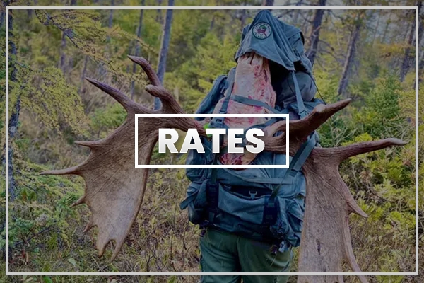 Rates