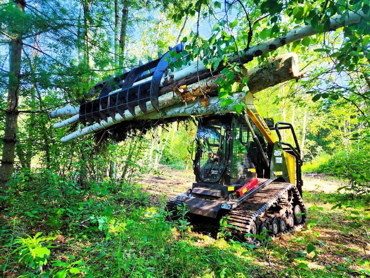 Storm Debris Cleanup