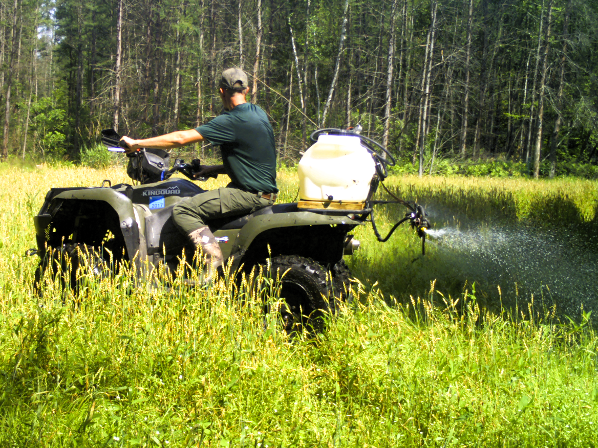 Invasives Removal & Herbicide Application