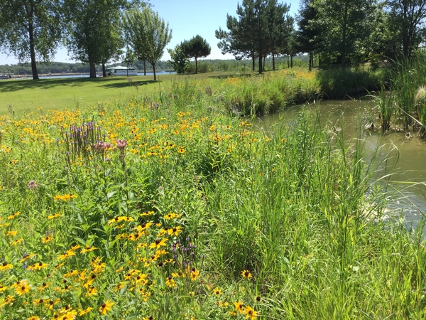 Lakeshore Owners Loving Their Lakes to Death to Live the Perfect #Lakelife