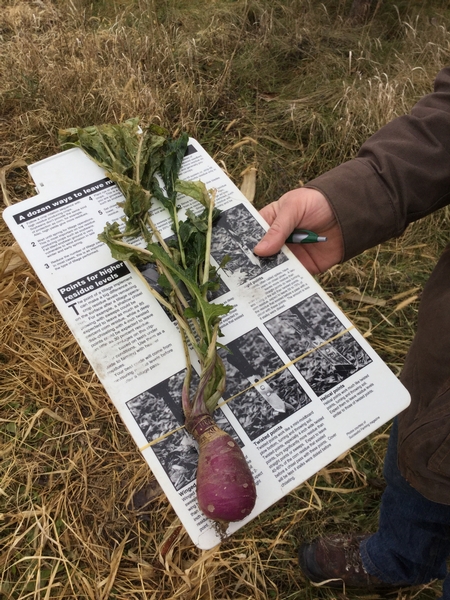 Cover Crop Grant Funding Now Available