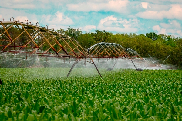 Did You Know... East Otter Tail and Wadena SWCDs Provide an Irrigation Scheduling Service?