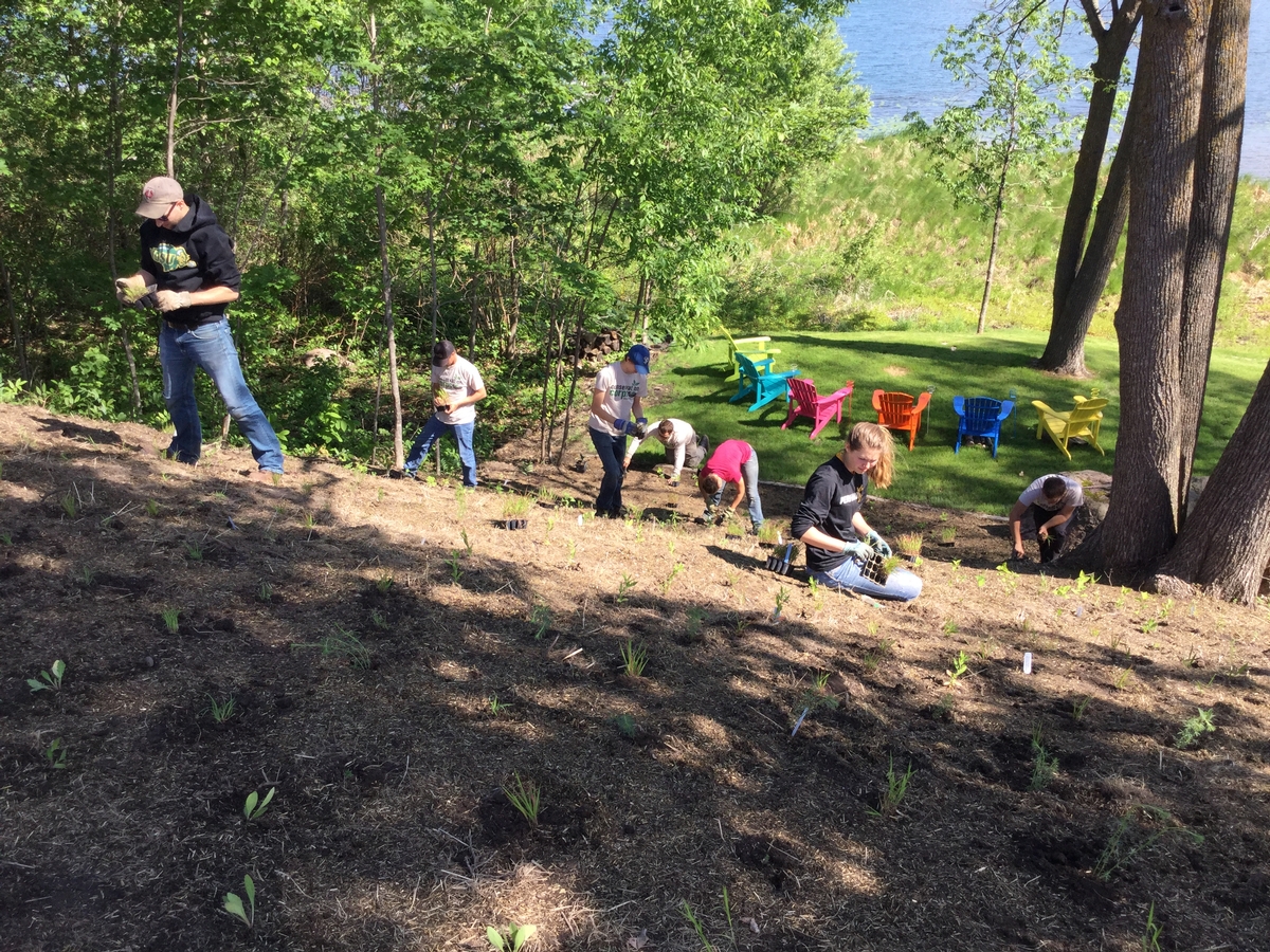 Image of staff planting a shoreline area.