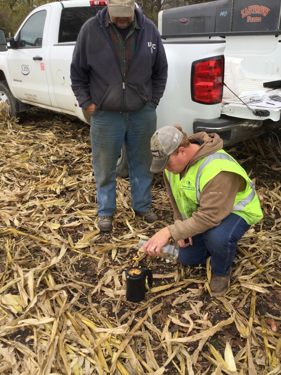 Image of employee and cooperator in a field.