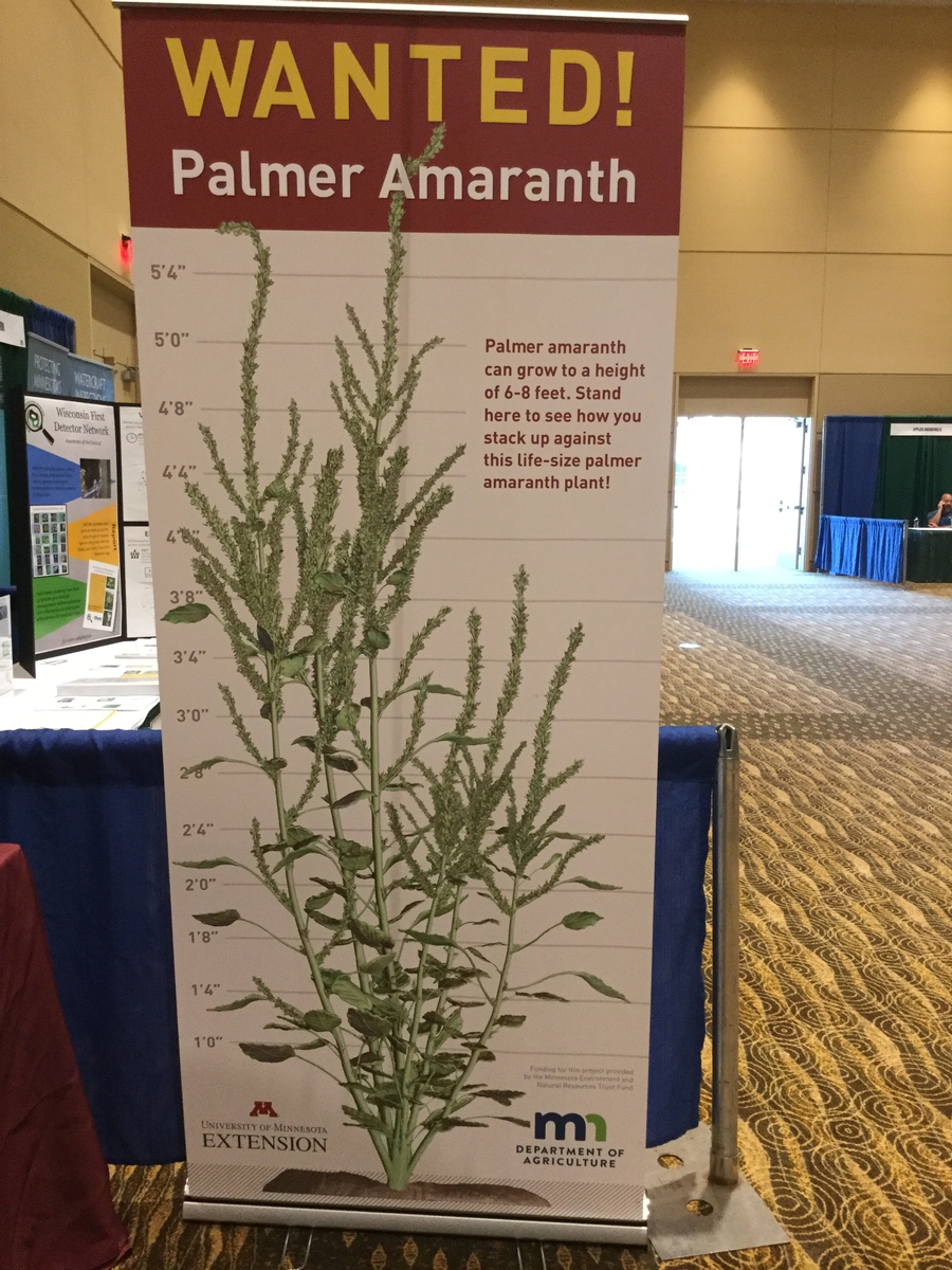 Image of banner showing invasive palmer amaranth.