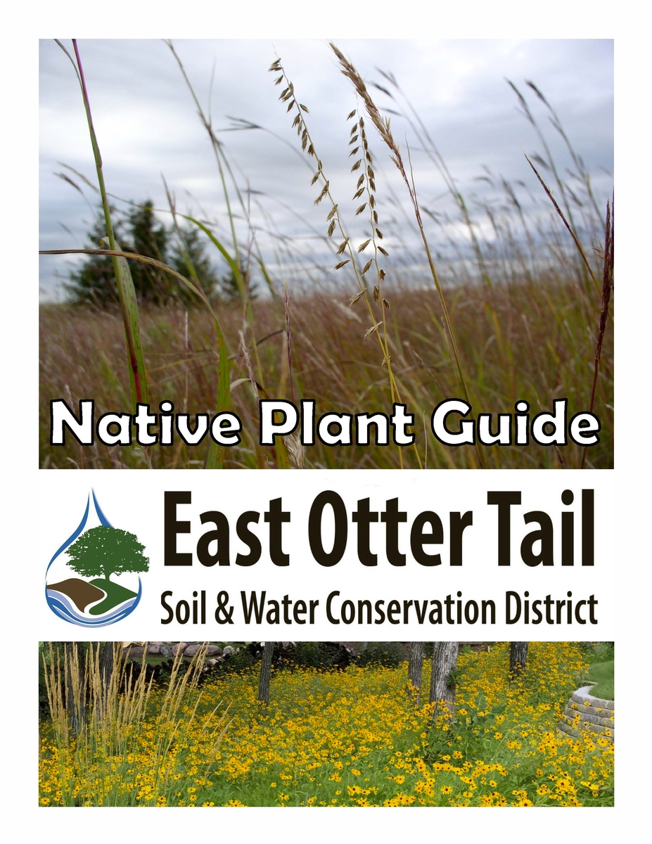 Image of the native plant guide flyer.