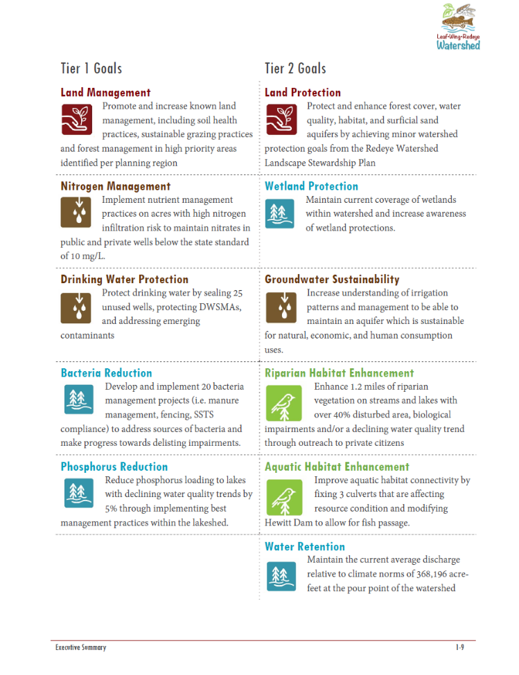 Image of Redeye watershed plan goals flyer.